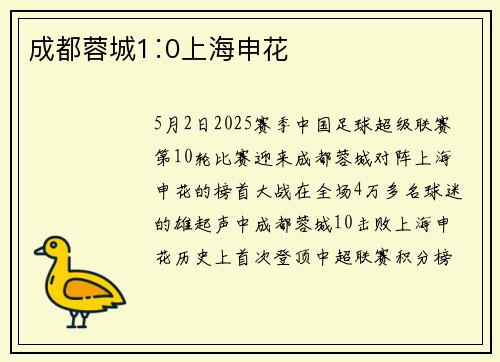 成都蓉城1∶0上海申花